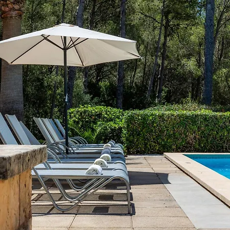 Seguinot D'alt 포엔샤