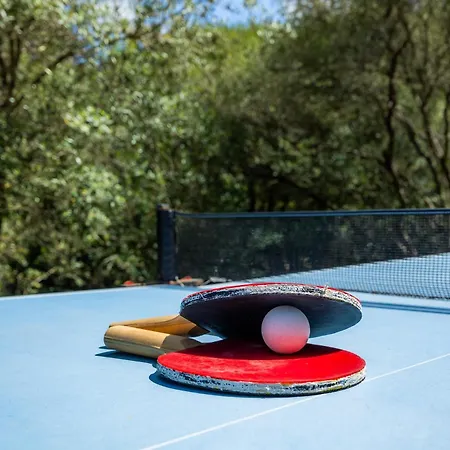 Seguinot D'alt فيلة *