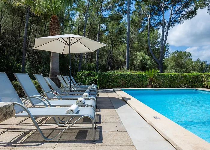 Seguinot D'alt بويينسا