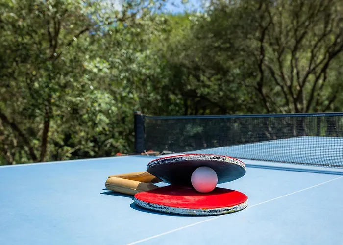 Seguinot D'alt فيلة *