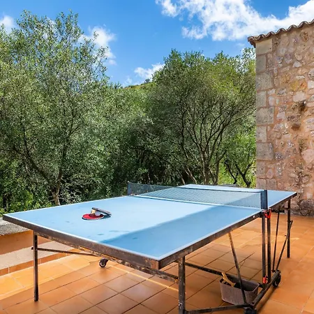 Seguinot D'alt * Pollença