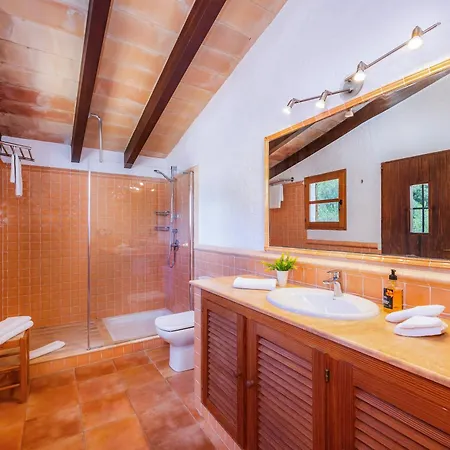 Seguinot D'alt * Pollença