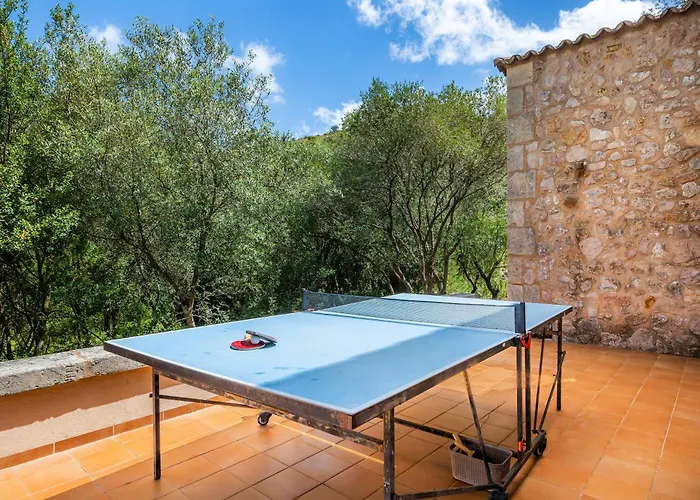 Seguinot D'alt * Pollença