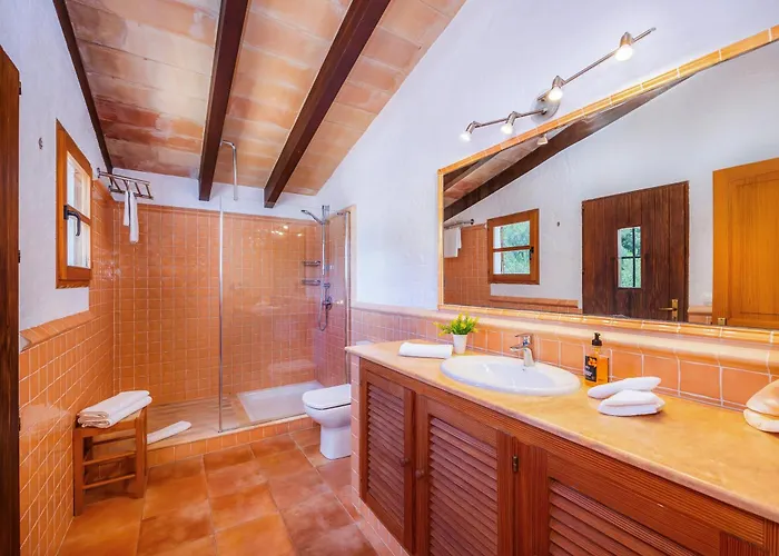 Seguinot D'alt * Pollença